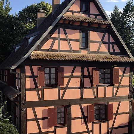 Maison Alsacienne Эшау Экстерьер фото
